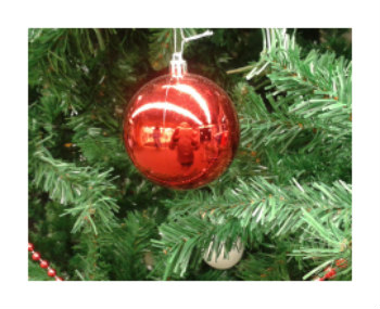 Christmas Lighting Image5